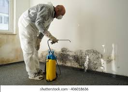 Best Industrial Mold Remediation  in Carterville, MO